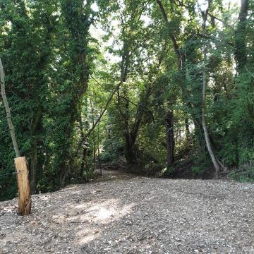 Po ureditvi - 20230723_170823